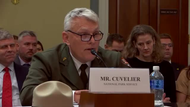 Congressional hearing scrutinizes protest permit process amid concerns over violent groups