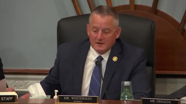Ranking member Verhava returns to Congress after cancer treatment to advocate for marginalized voices