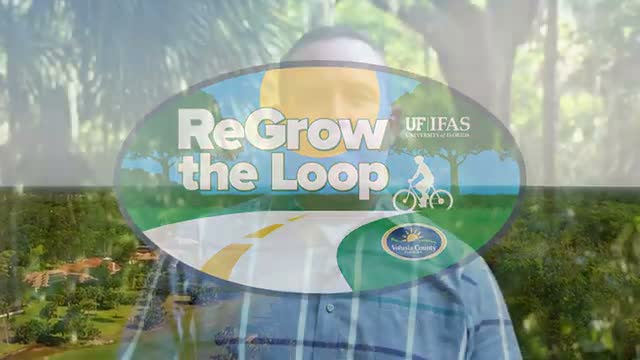 Volusia County launches ReGrow the Loop initiative to restore Ormond Beach scenic byway