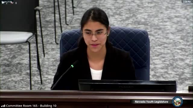 Nevada youth legislators debate bill holding parents accountable for firearm negligence