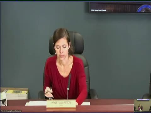 Public commenters urge stronger SB 300 implementation and criticize NV Energy and Sierra rate proposals