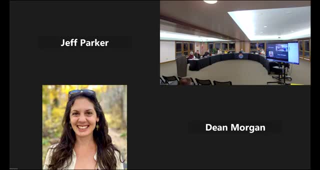 Buena Vista trustees keep proposed Flock Safety cameras in budget after hour‑long debate over privacy and redundancy