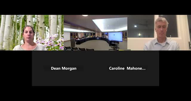 Buena Vista trustees advance 2025 budget items, approve grant match and adopt parks grant resolution