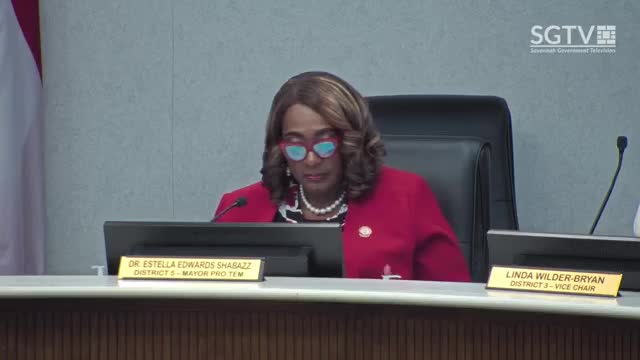 Savannah City Council unveils plans for inclusive signature playground at Daffin Park