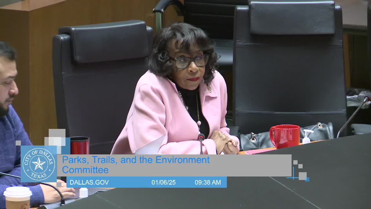 Dallas committee hears CCAP annual report; city says 200 of 212 milestones completed