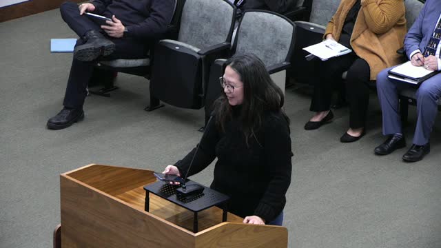 Public commenter tells council Cypress Ditch plan underestimates local flooding; urges focus on on‑site detention