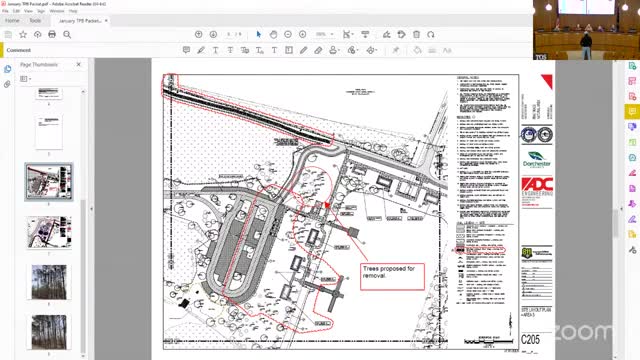 Tree Protection Board approves removal of trees at Pine Trace for park grading