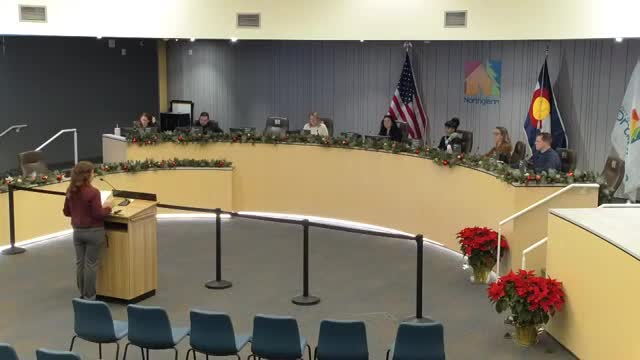 Council begins prioritizing draft strategic plan; asks staff for fiscal detail on regional requests and moves speed cameras earlier