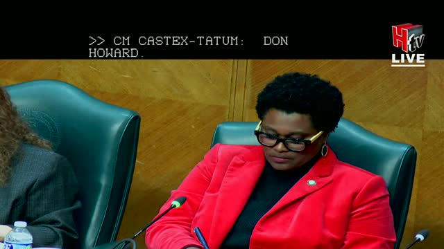 Homeless residents and advocates urge Houston council for shelter capacity and preparedness