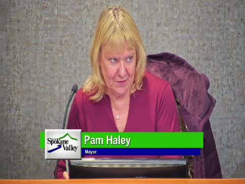 Council approves 10 dedicated police positions, council discusses precinct reconfiguration