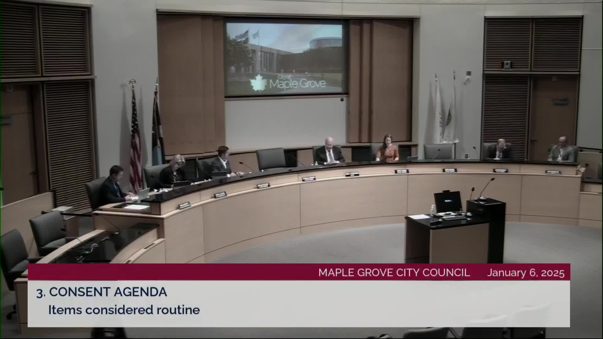 Council approves consent agenda, appoints three to Lake Quality Commission and confirms EDA positions