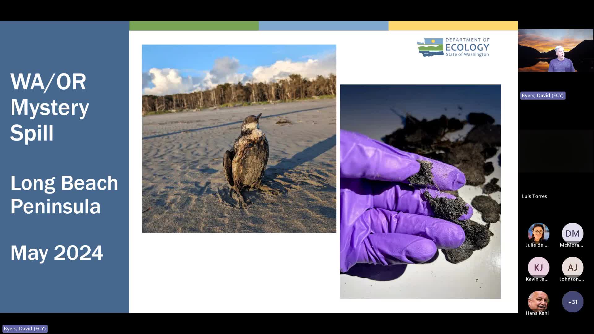 Wildlife Rescue Efforts Thrive in Washington Amid Oregon's Oil Spill Crisis