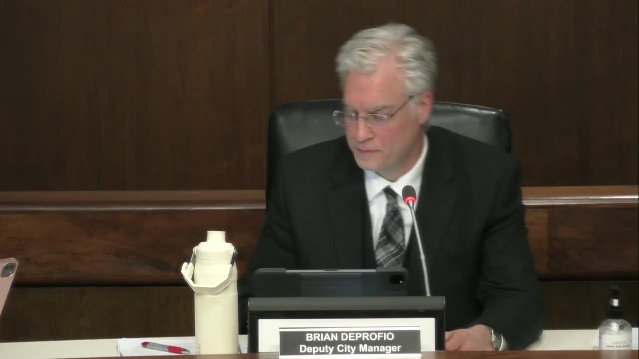 Council defers Karma Restaurant permit after debate on late hours, security and third‑party promoters