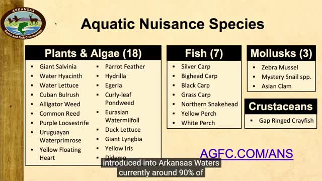 Arkansas launches commercial harvest program to combat invasive carp crisis