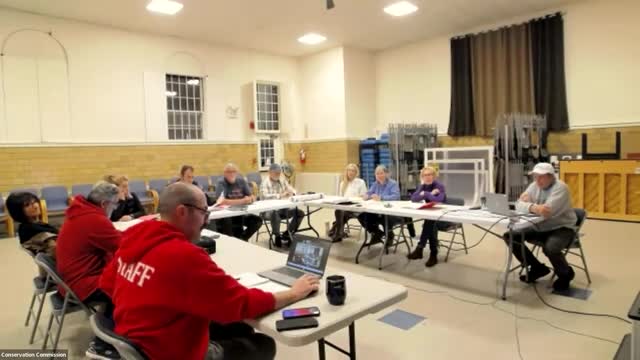 Parks director seeks conservation guidance for Memorial Park courts, bridge and shade structures