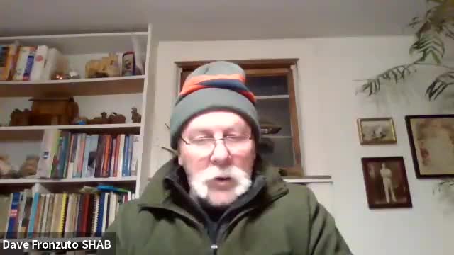 Harbor & Shellfish staff report small strandings, start microalgae year and ask commercial permit holders to report November–December harvests