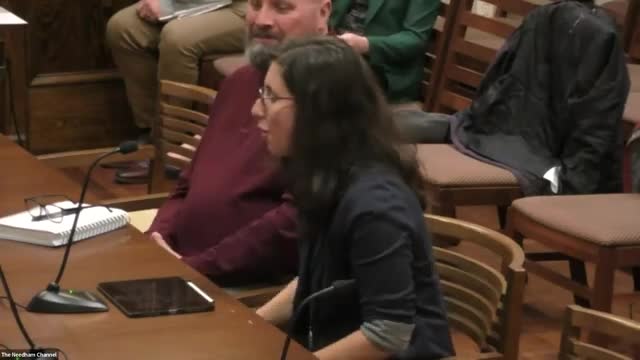 Needham Town Board Approves Controversial Human Rights Committee Appointment Amid Election Concerns