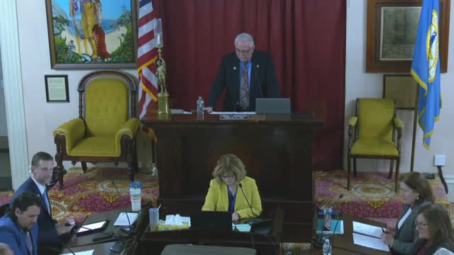 Salem City Council approves home‑rule petitions for school‑zone cameras, PILOT increase for sewer district and several budget, zoning and safety items