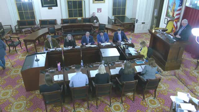 Council confirms several mayoral appointments; some nominations held under rules