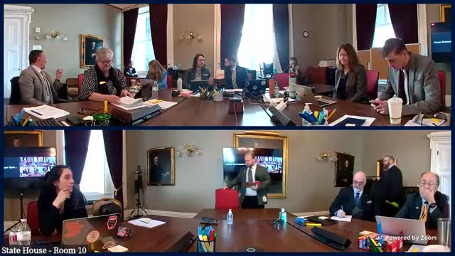 Committee hears Barre City charter change (H.10) to move town meeting date, separate clerk and treasurer