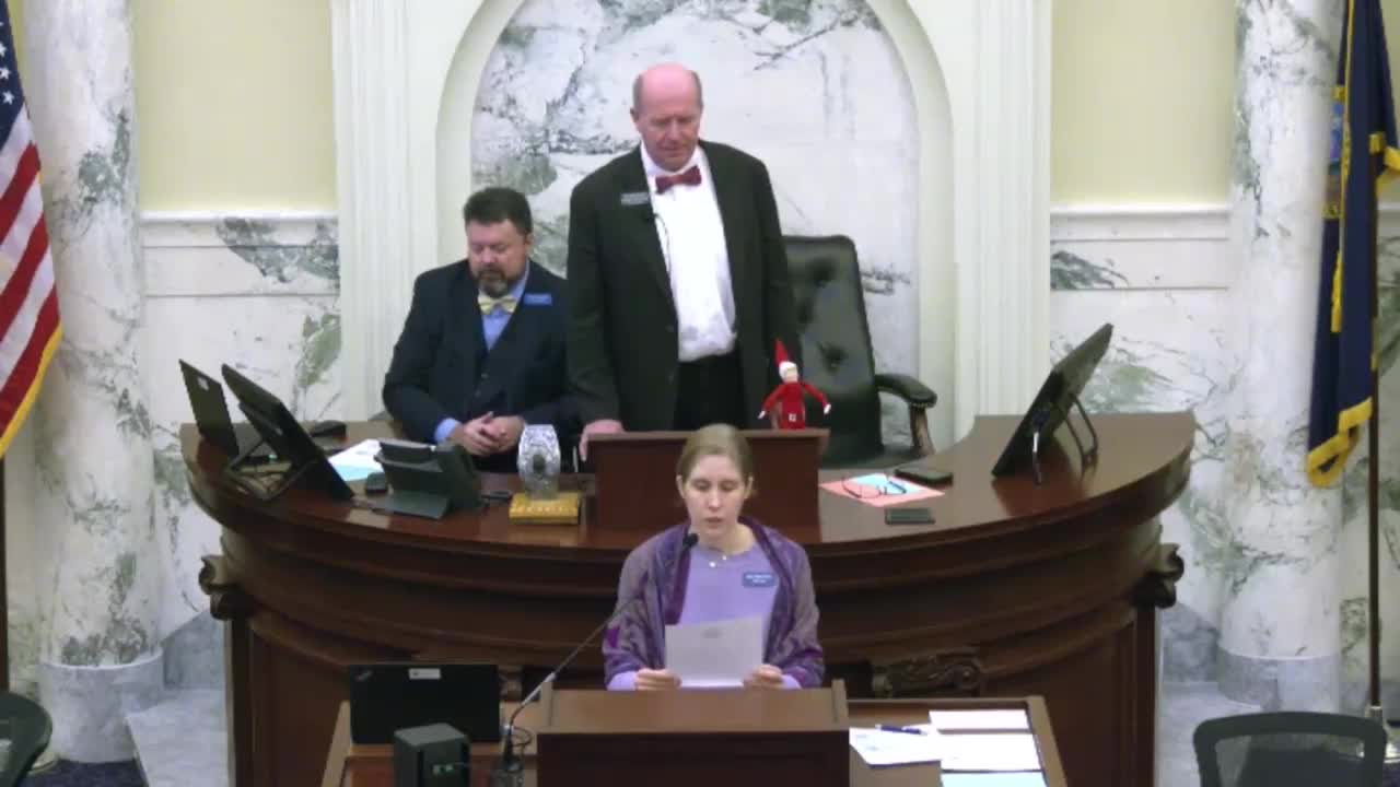 Rep. Brooke Green names Maria Schubin as temporary substitute during surgery