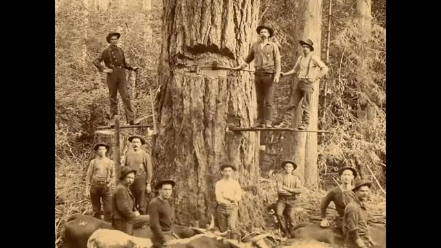 Thurston County's logging history shaped communities like Bordeaux now lost to time