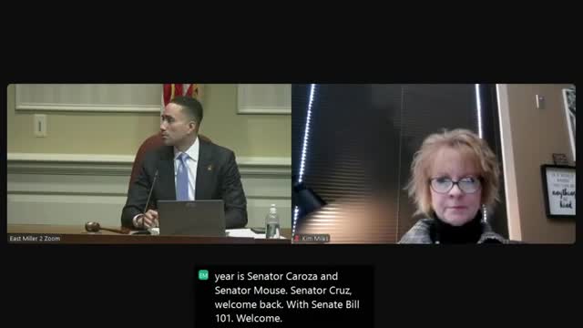 Senate panel hears Wicomico bill to ban soliciting from roadways to reduce safety risks