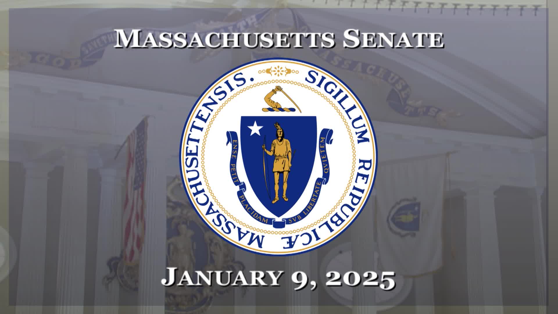 Senate adopts resolution commending Los Angeles County firefighters; creates temporary committees and refers auditor communication