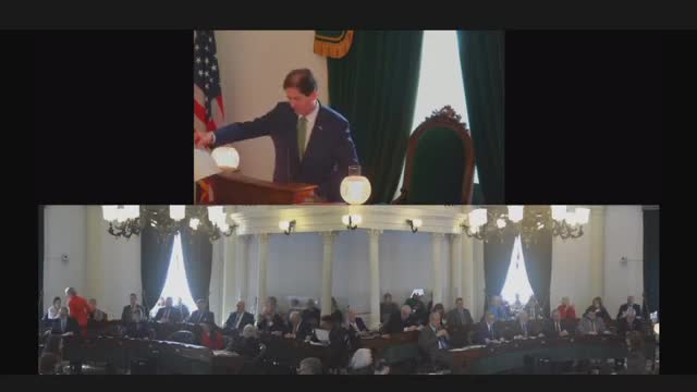 Senate extends temporary electronic participation rules through March 11, 2025; discussion raises COVID-19 language concerns