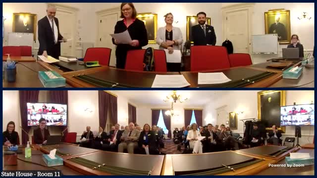 Joint canvassing committee certifies 2024 statewide results; lieutenant governor race heads to joint assembly