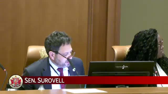 Senator Suterlin criticizes pandemic consultants; members cite funding and scope limits