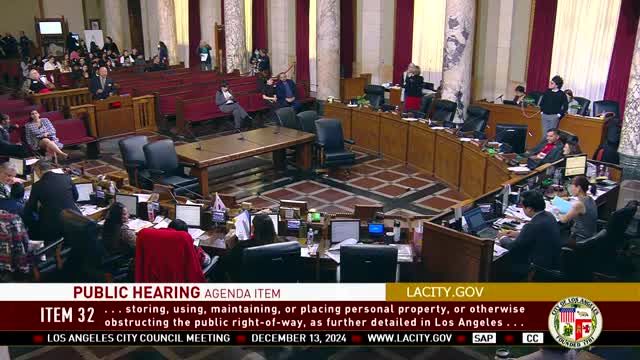 City Council debates immigrant support funding amid public outcry and controversial remarks