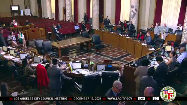 City Council faces public outcry over budget cuts and committee reforms