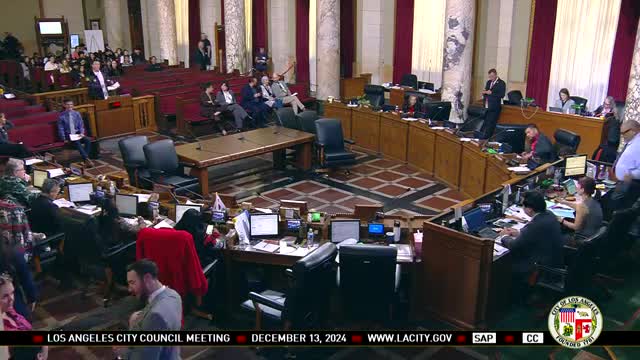 City Council Faces Heated Public Comments on Crossing Guard Funding and Gaza Genocide Claims