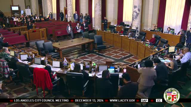 Students urge LA City Council to secure funding for vital crossing guard program