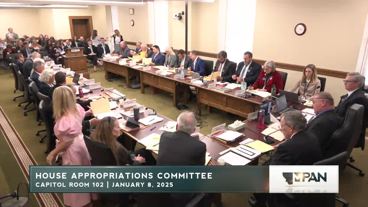 Committee hears House Bill 4, seeks details on long-running federal grant carryovers and ARPA interest authority