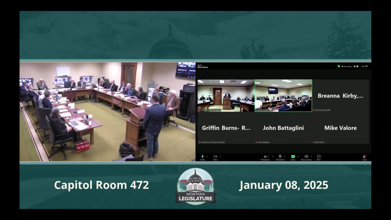 Westinghouse outlines AP1000 and AP300 reactors, eVinci microreactor and thermal long‑duration storage for Montana committee