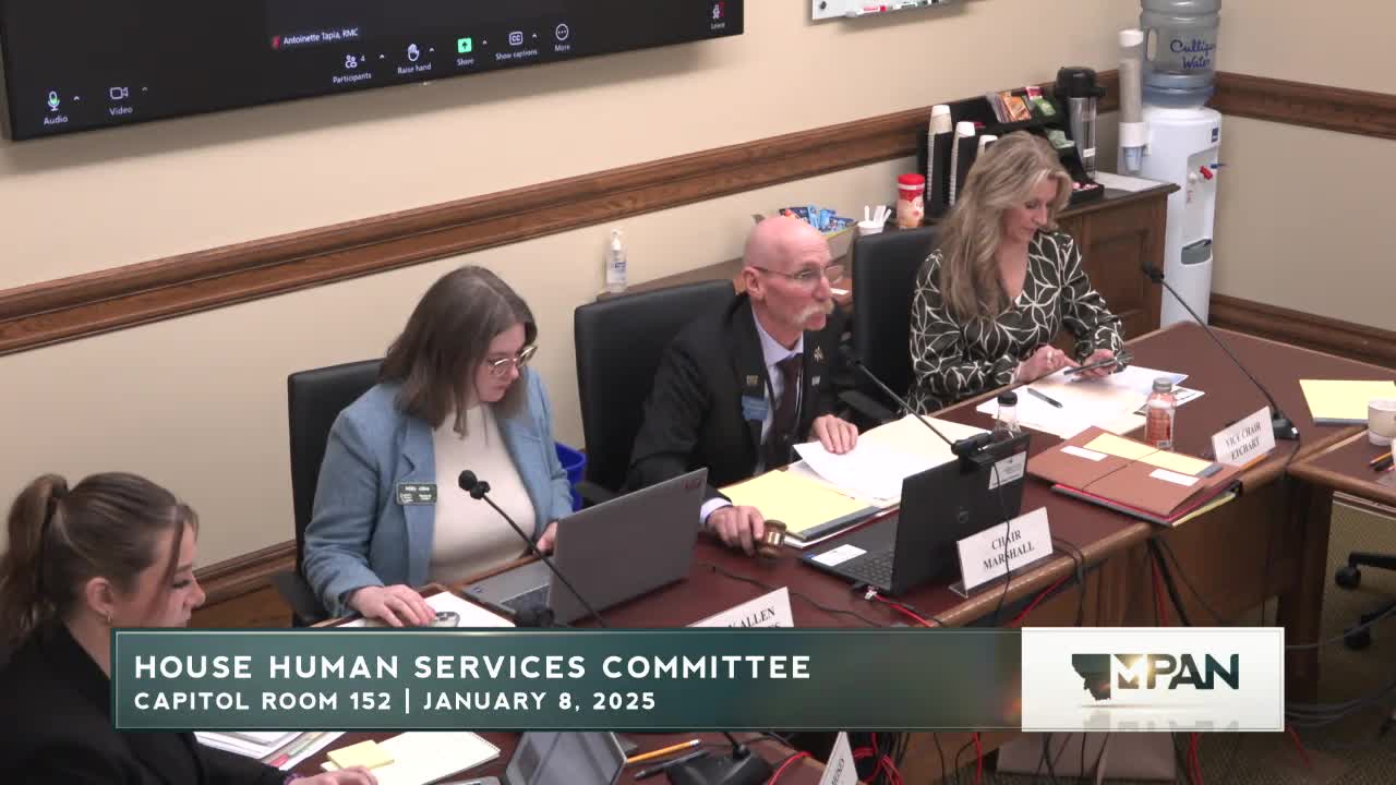 Committee reviews bill to streamline statutes on temporary investigative authority in child-protective cases