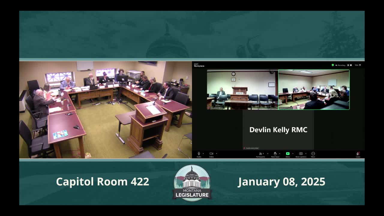 Senate committee agrees informal rules for informational witnesses; members prefer brief factual presentations