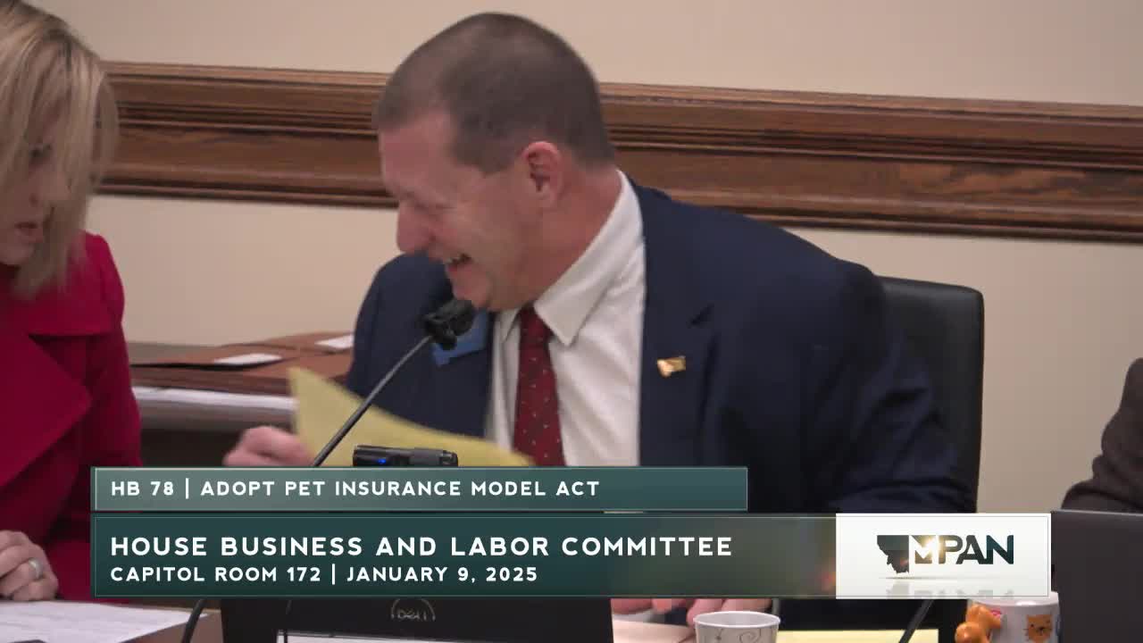 Committee hears pet‑insurance model act to standardize coverage and disclosures
