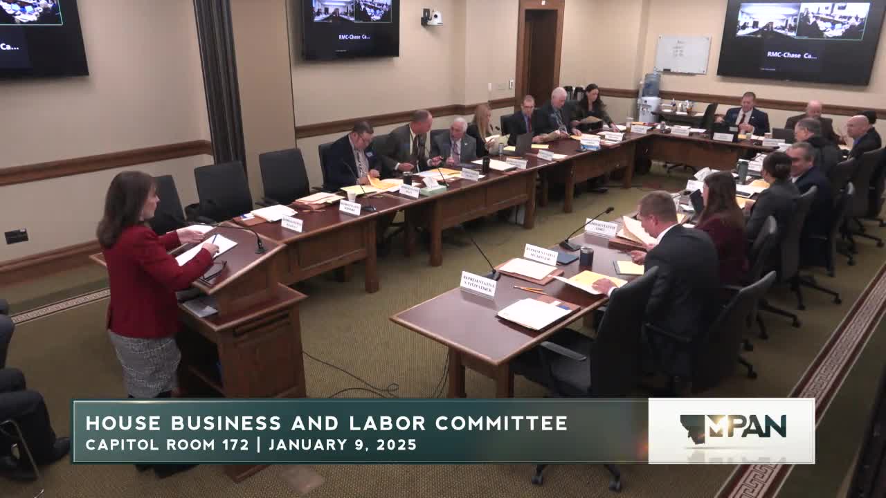 Bill would give state auditor access to tax records to help detect fraud; department of revenue supports measure