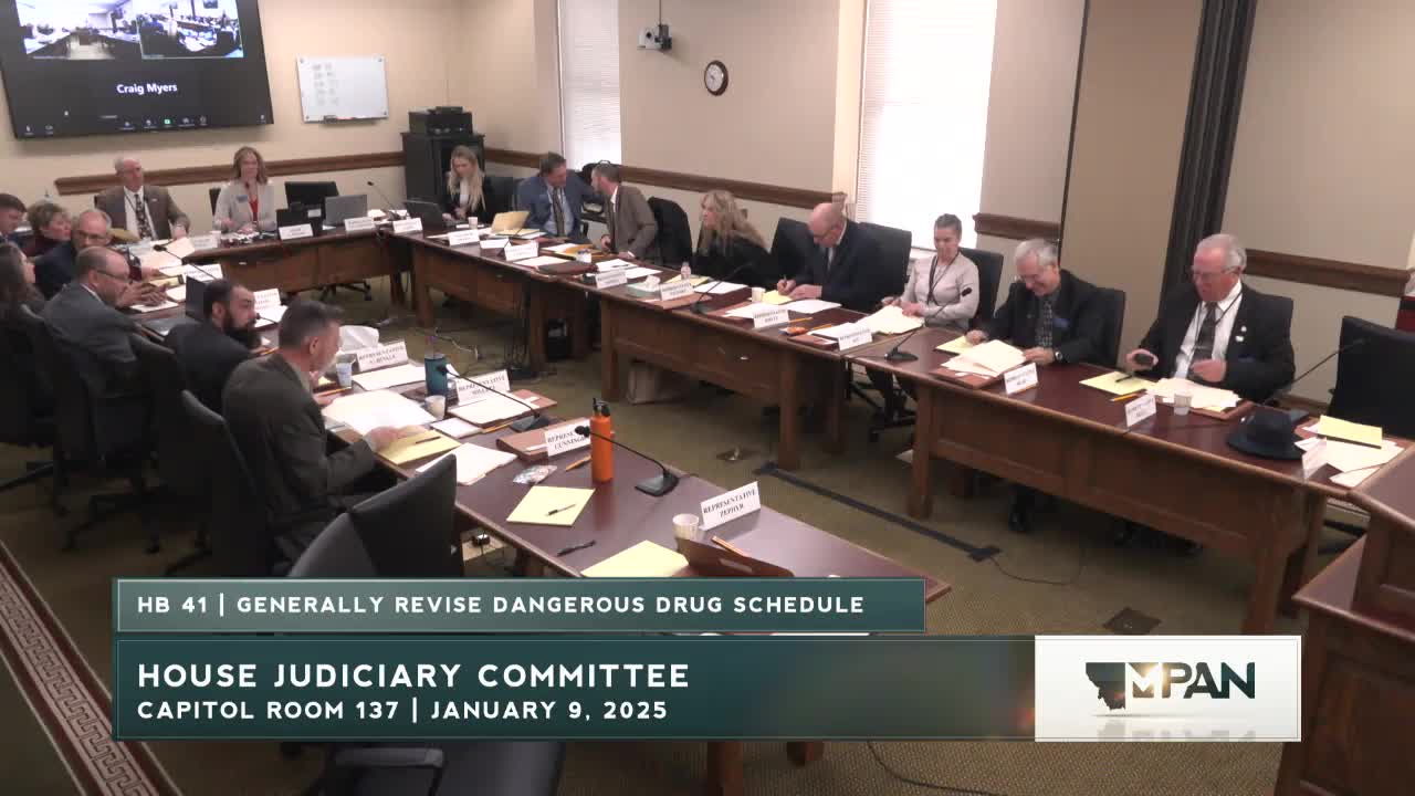 Legislators consider scheduling gabapentin after DOJ and crime-lab testimony on rising abuse