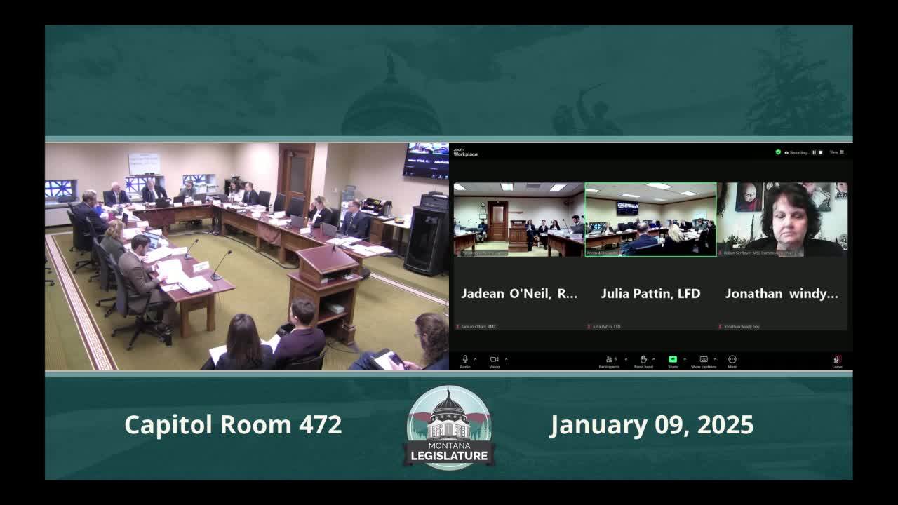 Legislative fiscal staff and State Librarian outline budget, warn of declining recording-fee revenue and proprietary fund growth