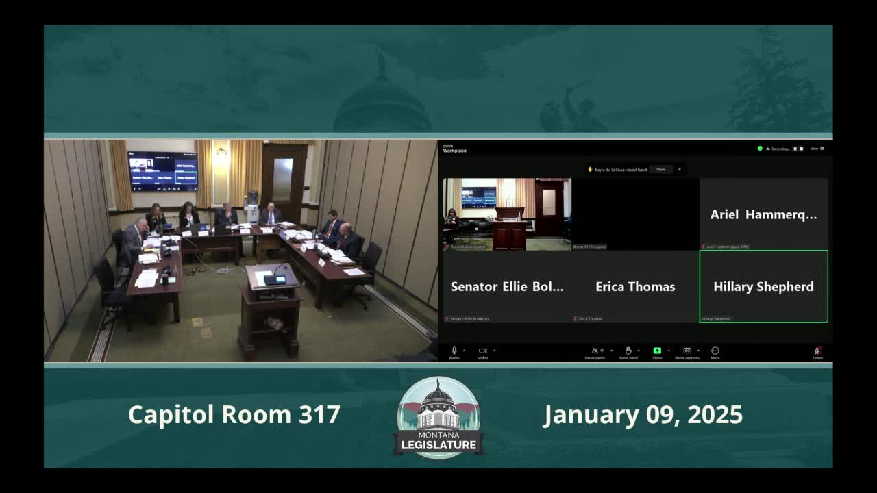 Subcommittee F hears testimony on HB 9 cultural and aesthetic grant requests