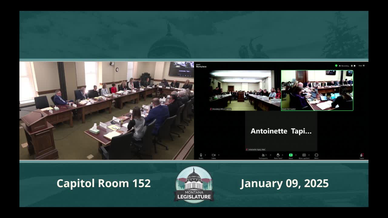 Montana committee hears bill to shield parents, pregnant people from penalties when seeking overdose or prenatal care