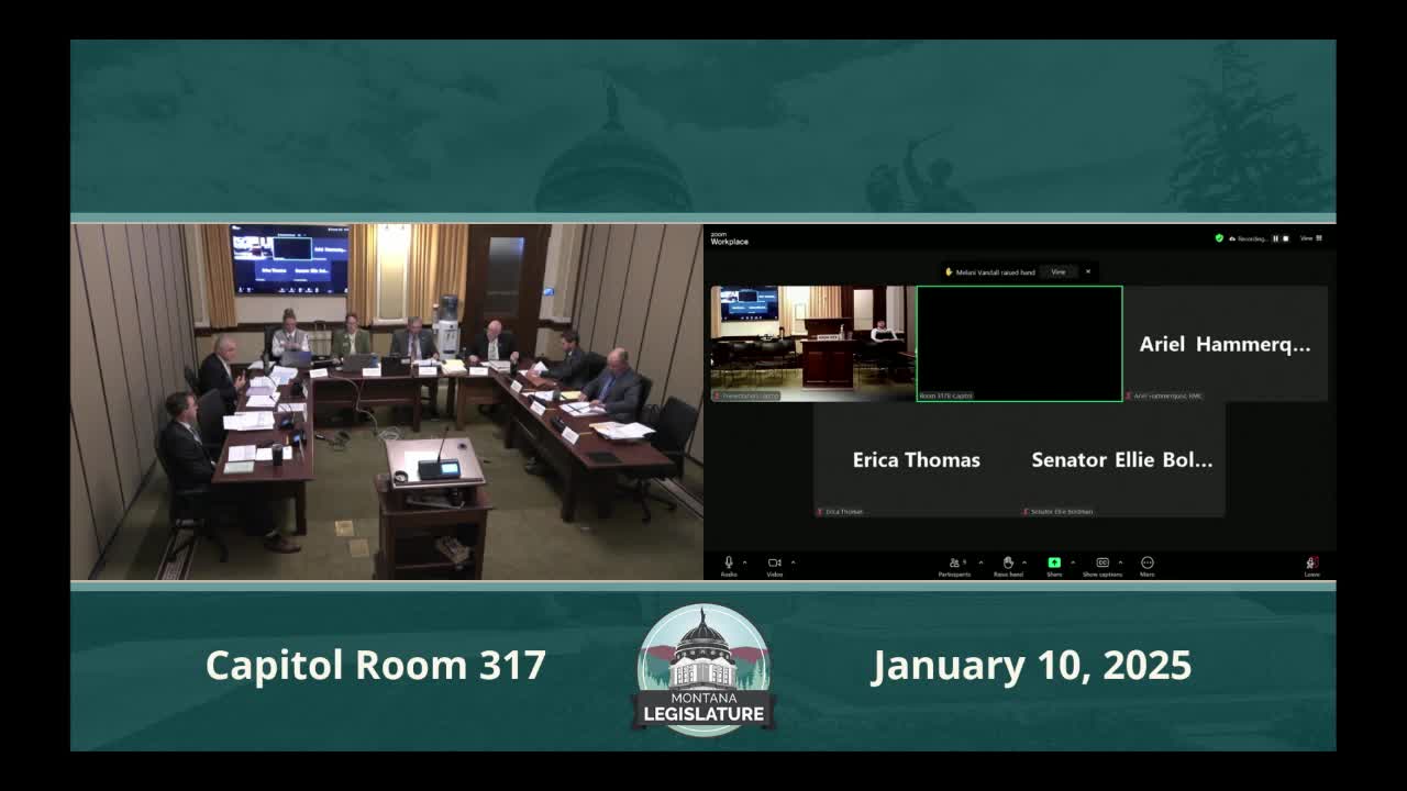 Subcommittee F hears testimony on House Bill 9 Cultural Trust grant requests