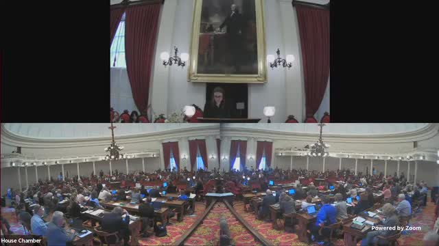 Vermont House votes to hold social media accountable with child protection bill