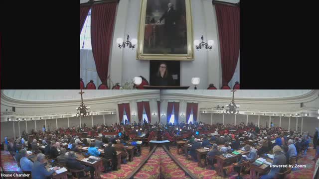 Vermont House passes landmark consumer protection bill to safeguard youth privacy and mental health