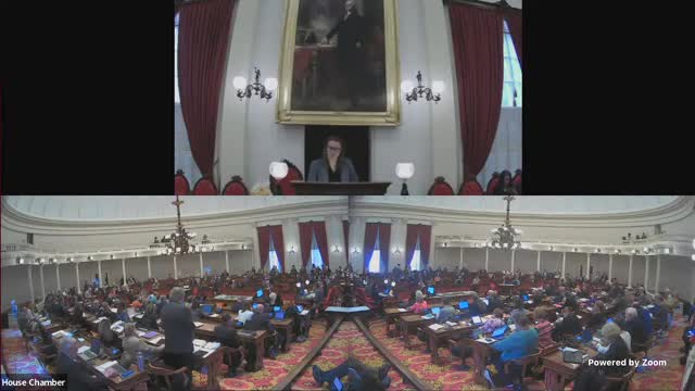 Vermont lawmakers debate juvenile justice reform amid concerns over 16-year-olds in adult court