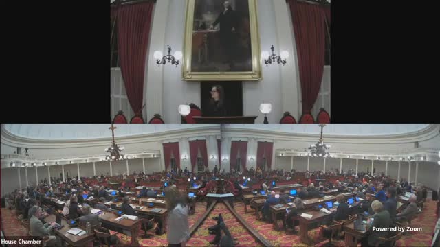 Lawmakers clash over flavored vape ban amid concerns for children's health and adult choices